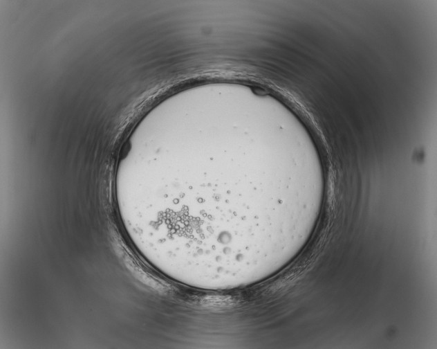 X0000115710445200912031531