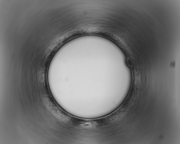 X0000115710447200912031531