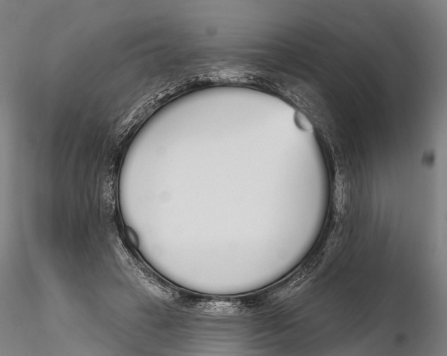 X0000115710449200912031531