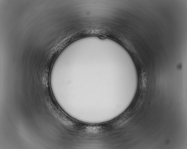 X0000115710450200912031531