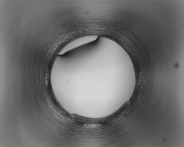 X0000115710452200912031531