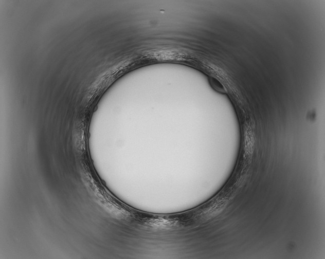 X0000115710453200912031531