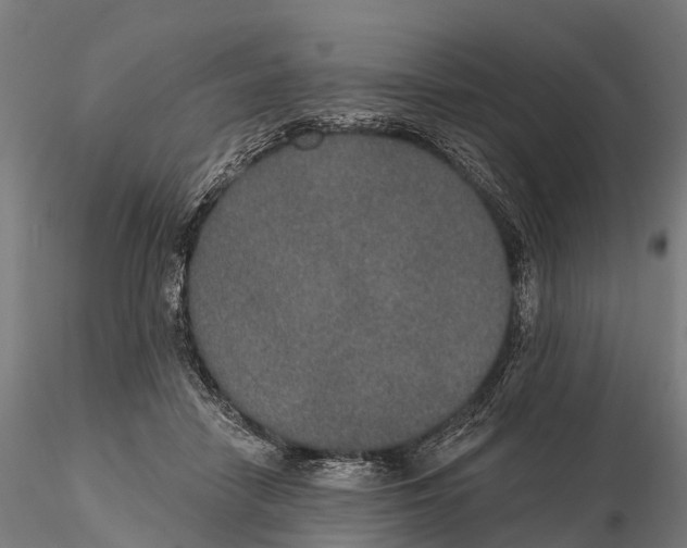 X0000115710458200912031532