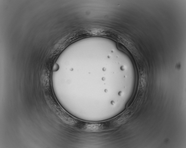 X0000115710461200912031532