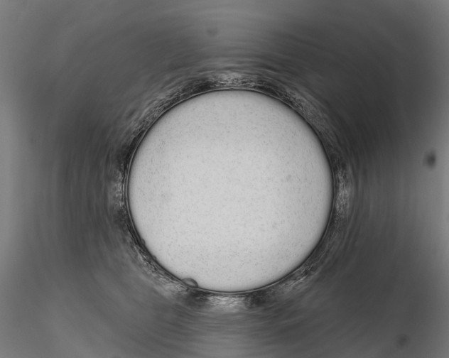 X0000115710469200912031532