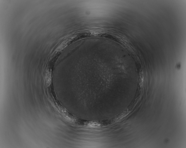 X0000115710471200912031532