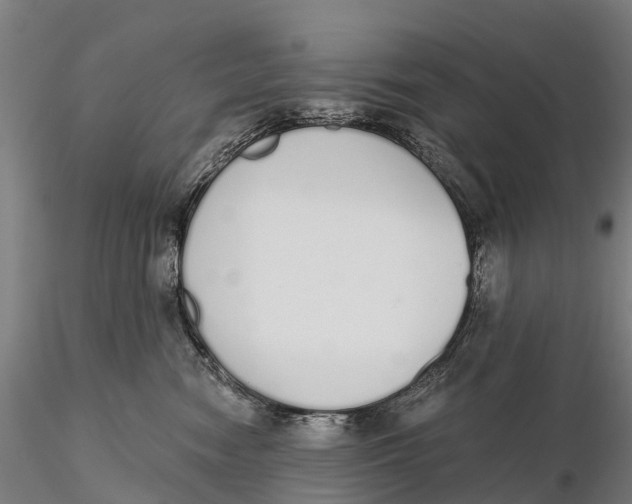 X0000115710474200912031532