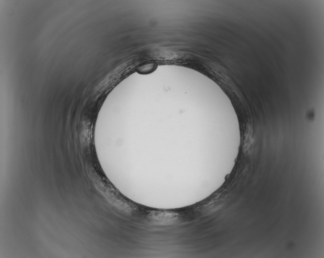 X0000115710476200912031532