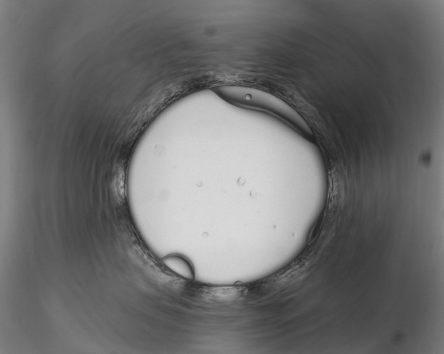 X0000115710479200912031532