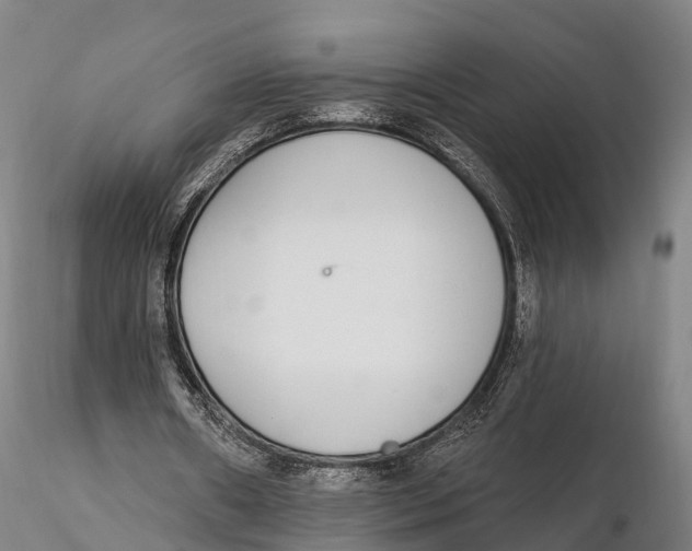 X0000115710482200912031531