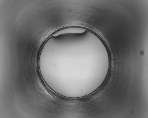 X0000115710485200912031531