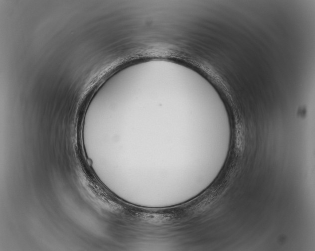 X0000115710486200912031531