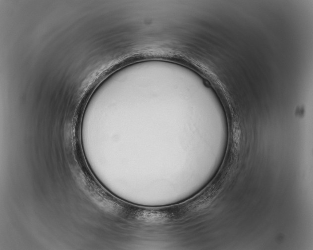 X0000115710487200912031531