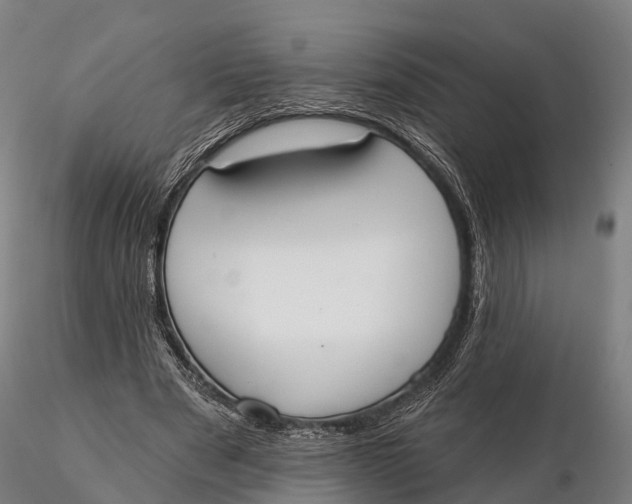 X0000115710489200912031531