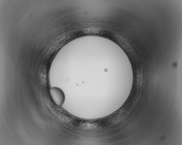 X0000115710498200912031531