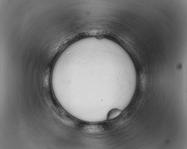 X0000115710499200912031531