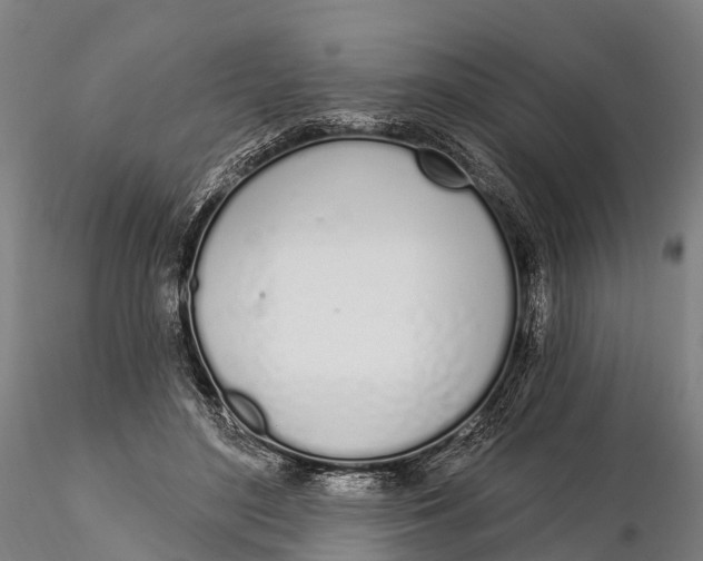 X0000115710500200912031531