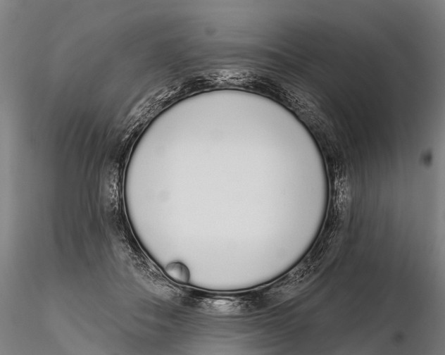 X0000115710506200912031531