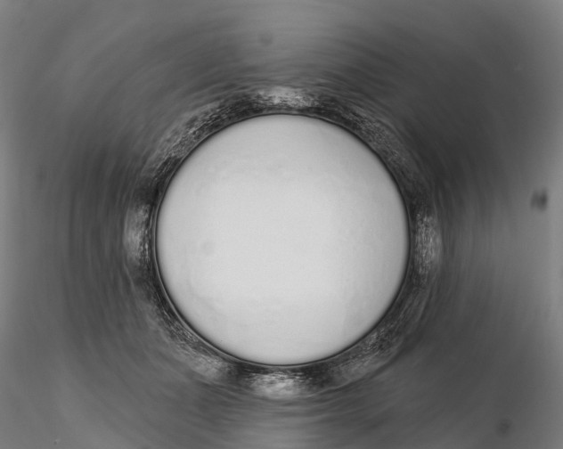 X0000115710511200912031531