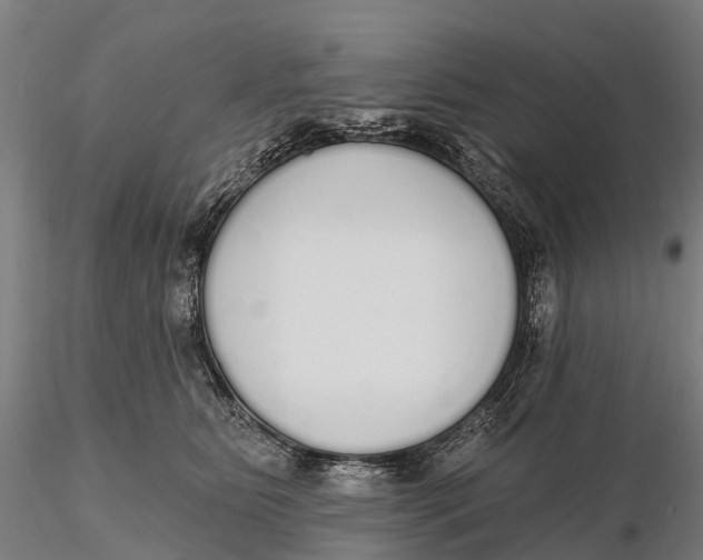 X0000115710515200912031531