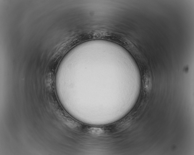 X0000115710519200912031531