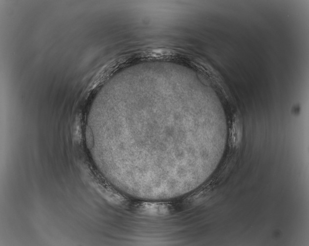 X0000115710520200912031531