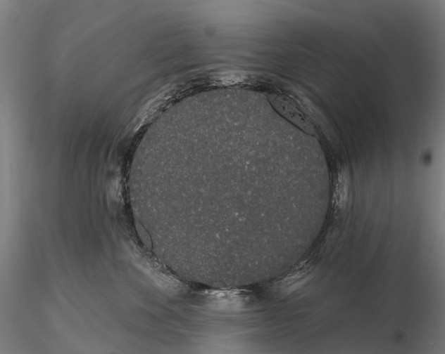 X0000115710524200912031531