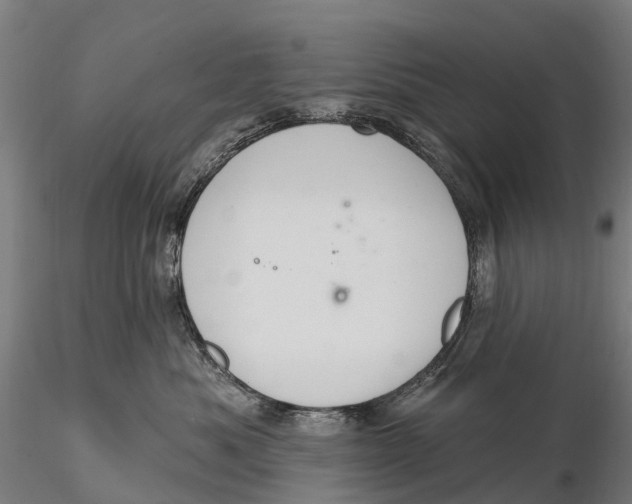 X0000115710525200912031531