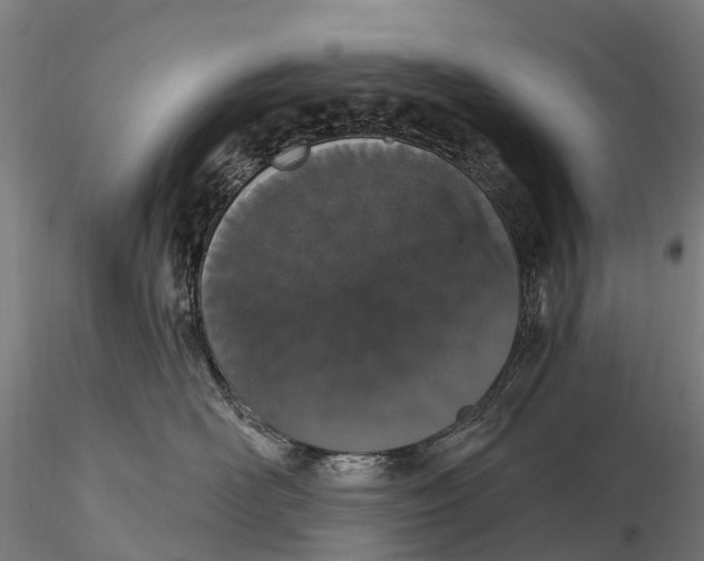 X0000115710526200912031531