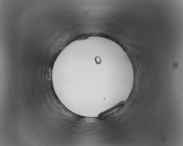 X0000115710528200912031531