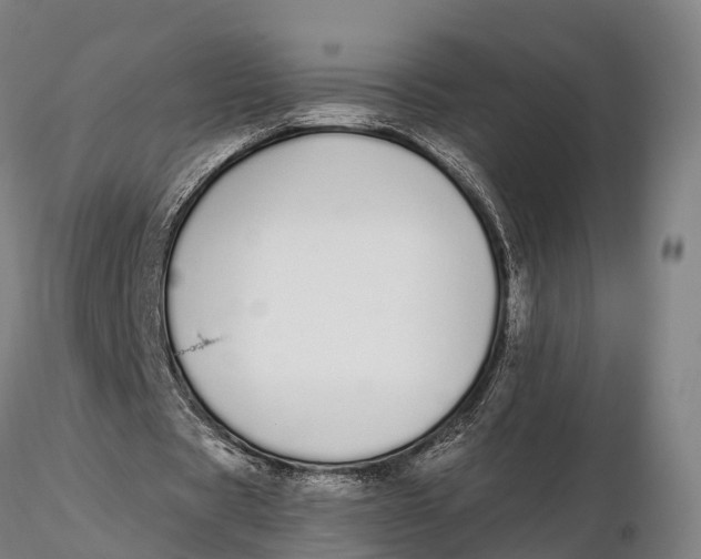 X0000115710529200912031530