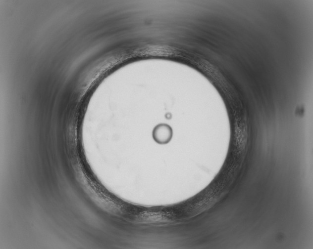 X0000115710534200912031530