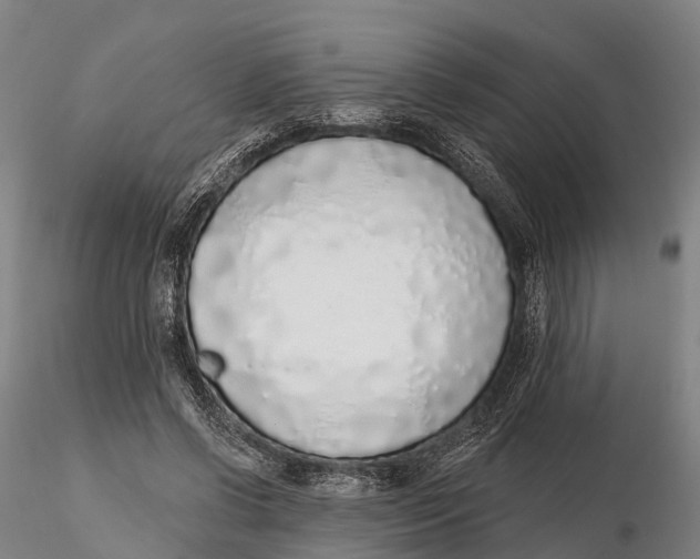 X0000115710542200912031530