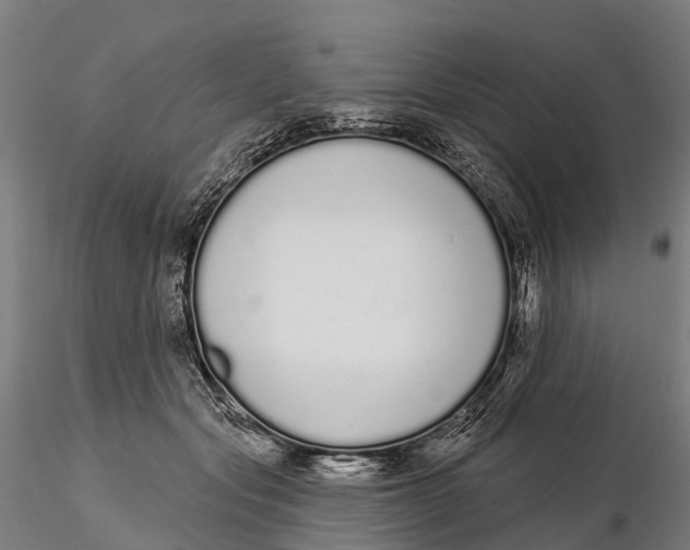 X0000115710557200912031530