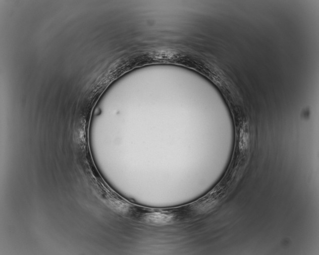 X0000115710561200912031530