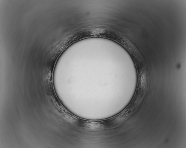 X0000115710565200912031530