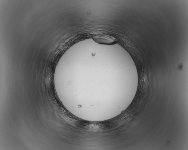 X0000115710566200912031530