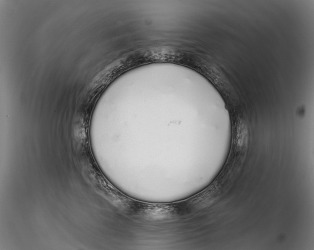 X0000115710569200912031530