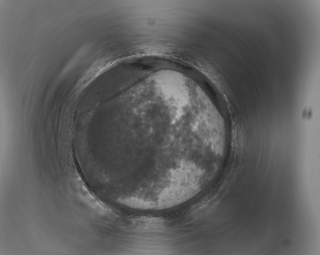 X0000115710577200912031530