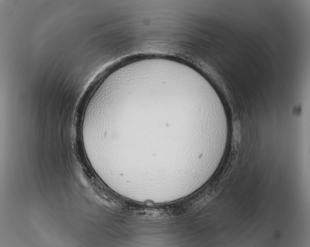 X0000115710580200912031530