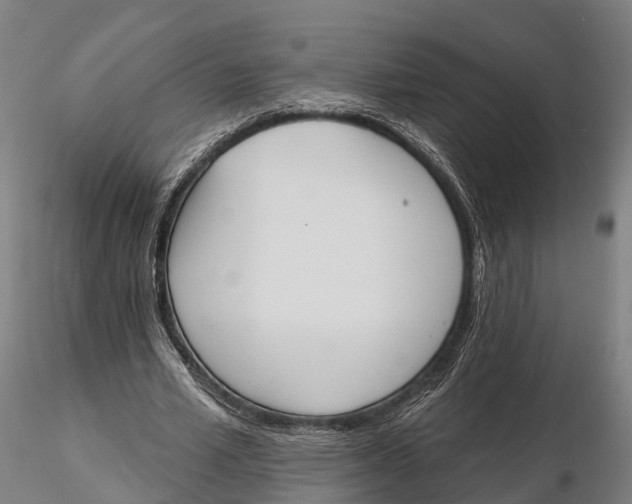 X0000115710581200912031530