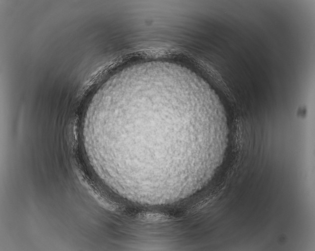 X0000115710590200912031530