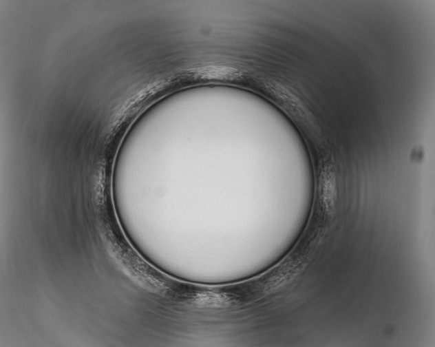 X0000115710591200912031530