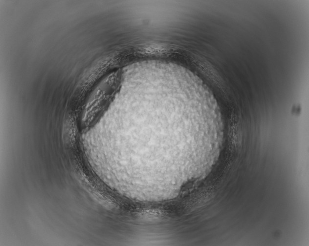 X0000115710593200912031530