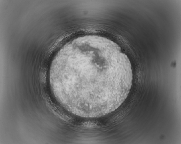 X0000115710596200912031530