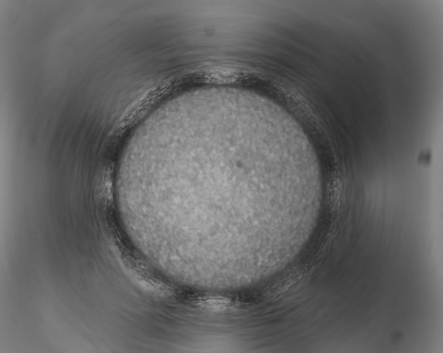 X0000115710598200912031530