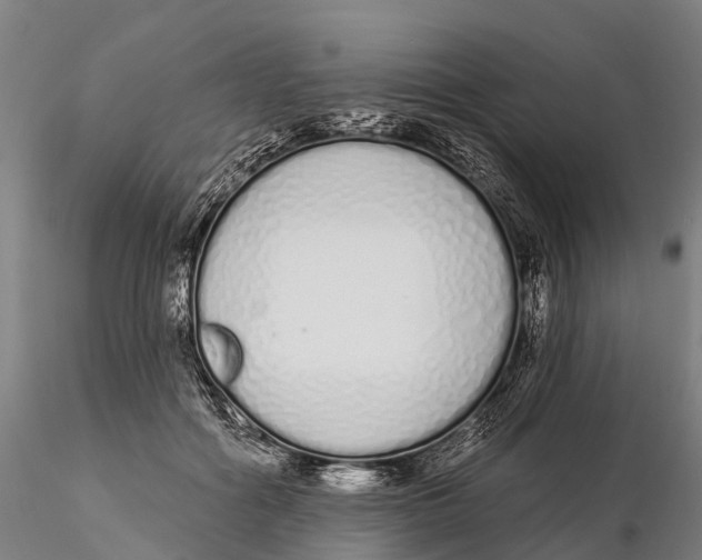 X0000115710602200912031530