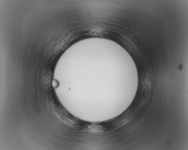 X0000115710603200912031530