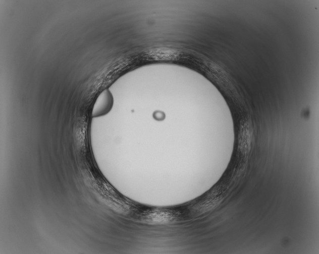 X0000115710604200912031529