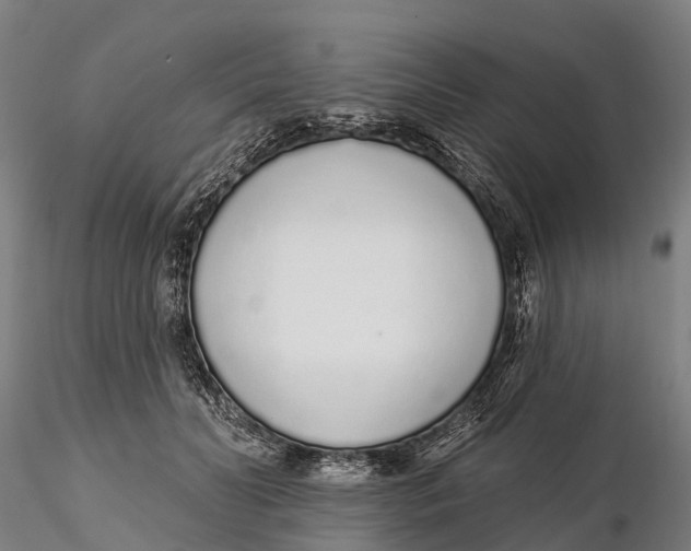 X0000115710606200912031529